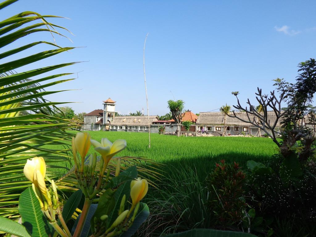 Bening Guest house