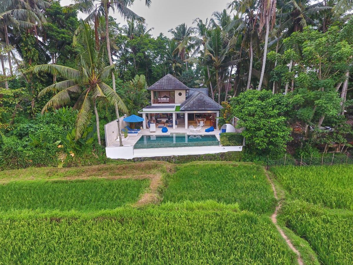 Balinese Luxurious Elegance *