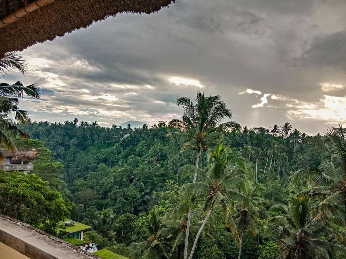 Made Punia's Jungle * Ubud (Bali)