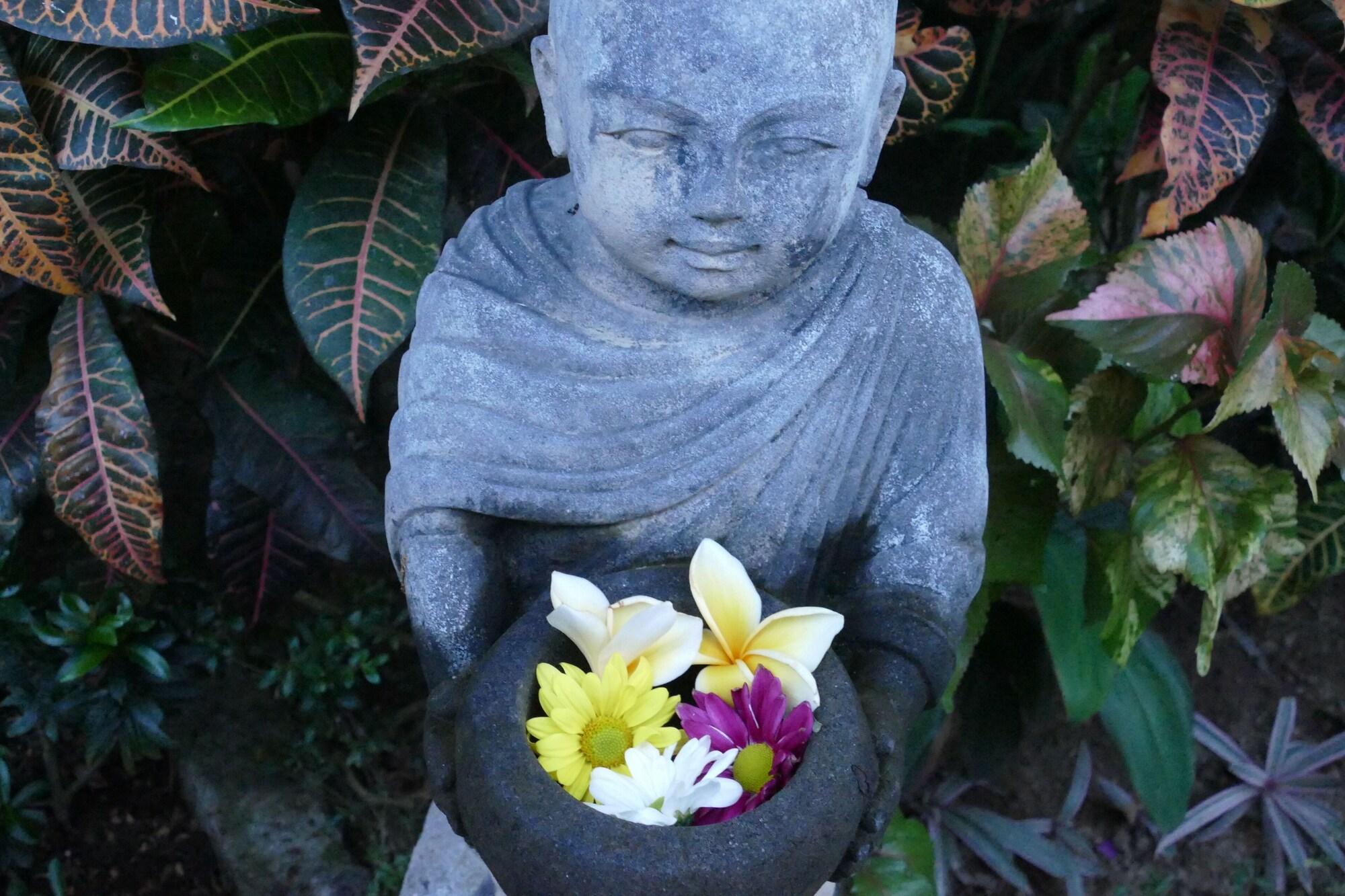 Devi's Place 2*