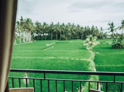 The Sawah & Ubud (Bali)