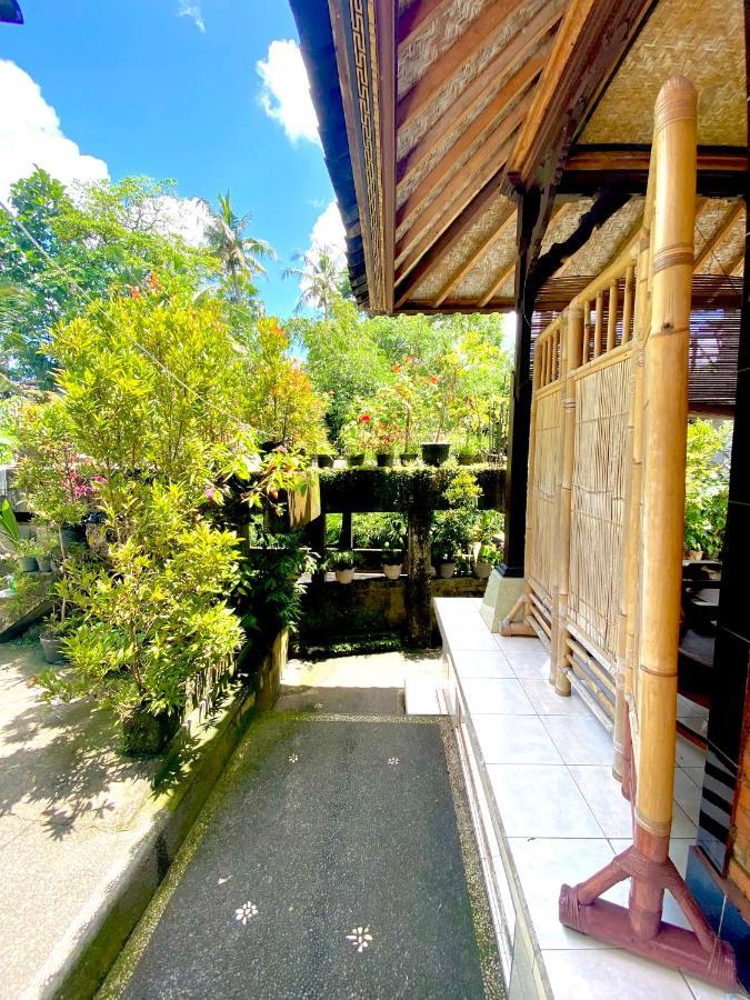 Ayu Homestay *