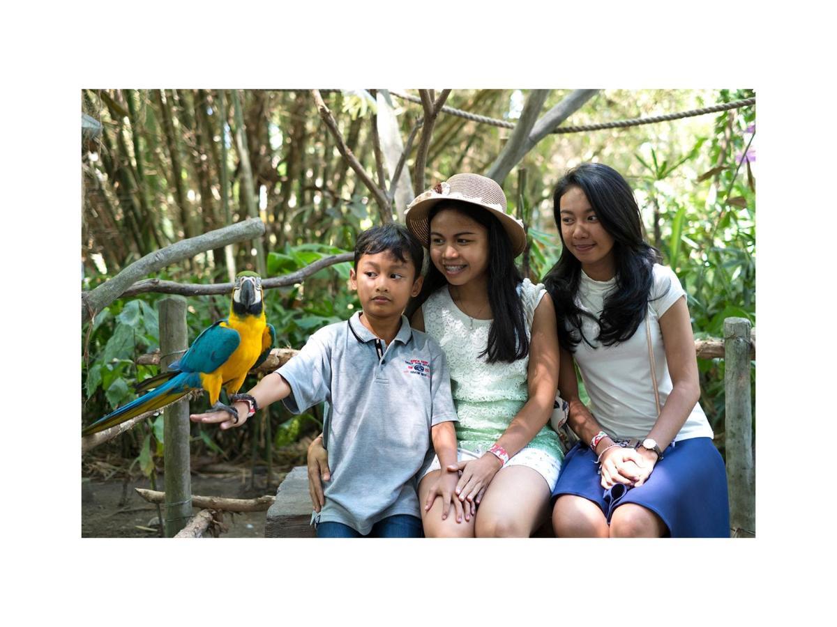 Narendra * Ubud (Bali)