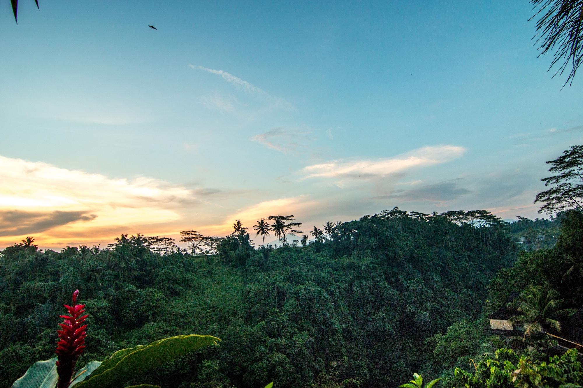 Hotel Bidadari Private & Retreat Ubud (Bali)