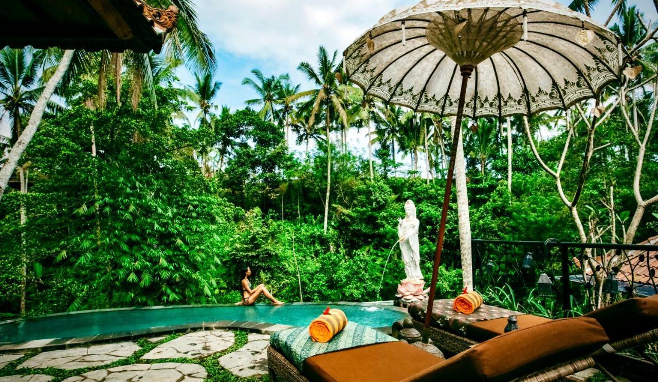 Jungle Lotus Inn