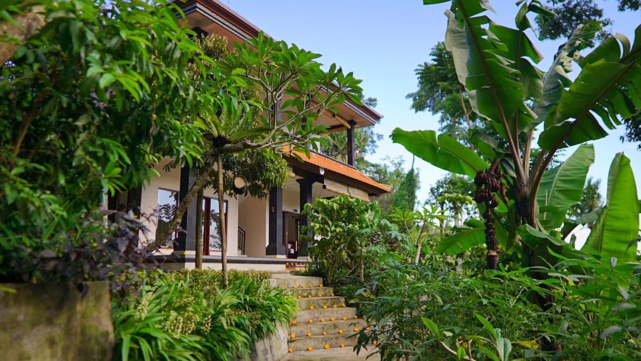 Guest house Alam Dewa *
