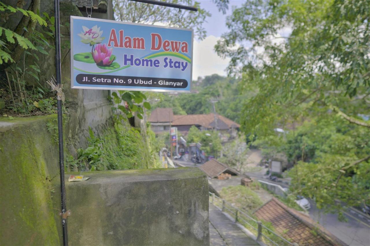 Guest house Alam Dewa