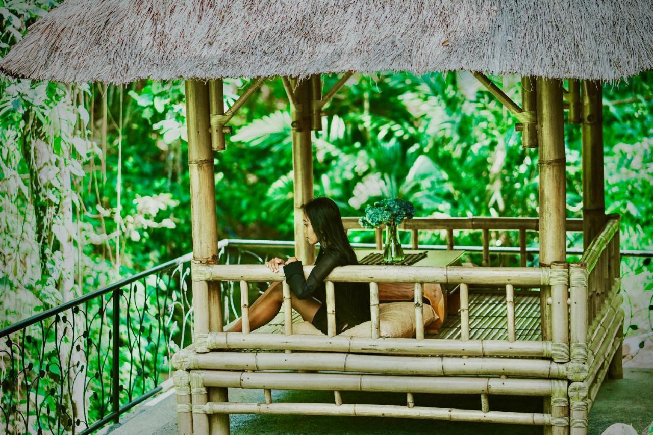 Inn Jungle Lotus