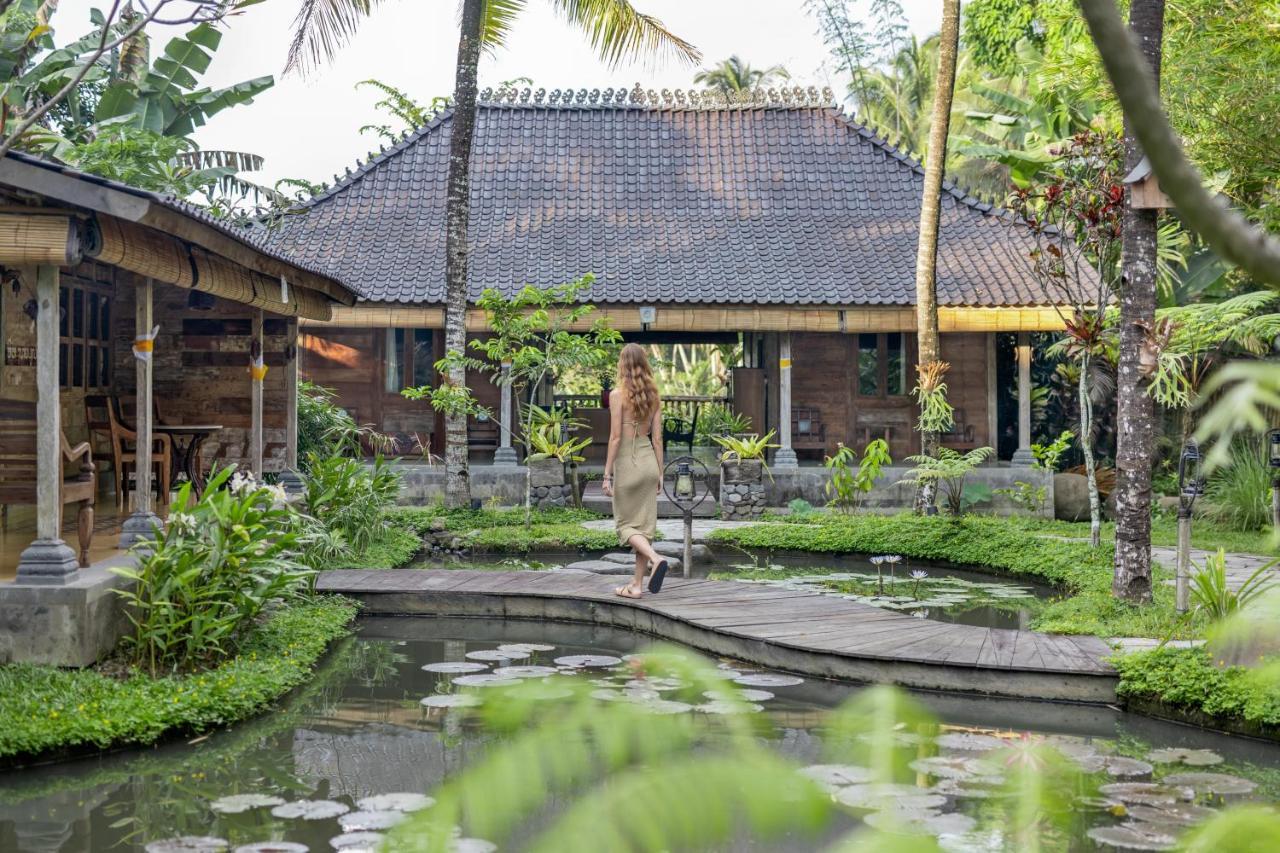 Korurua Dijiwa