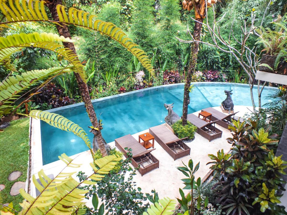 Rumah tetamu Jungle Haven 3*