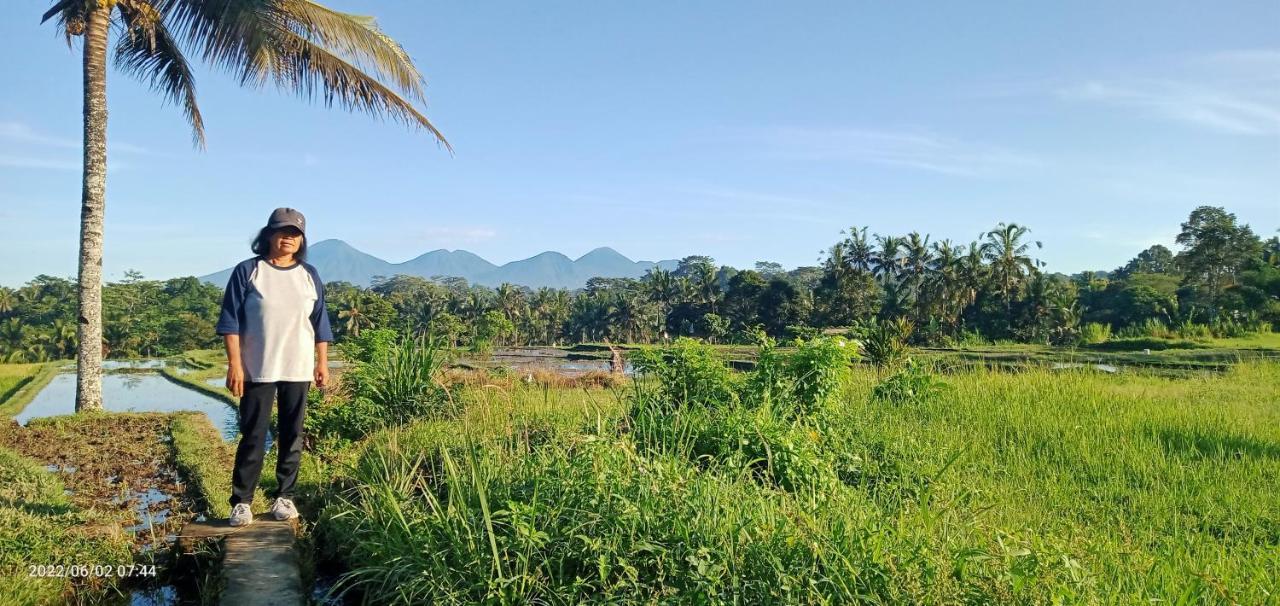 Leke Leke House Tegallalang Ubud (Bali)
