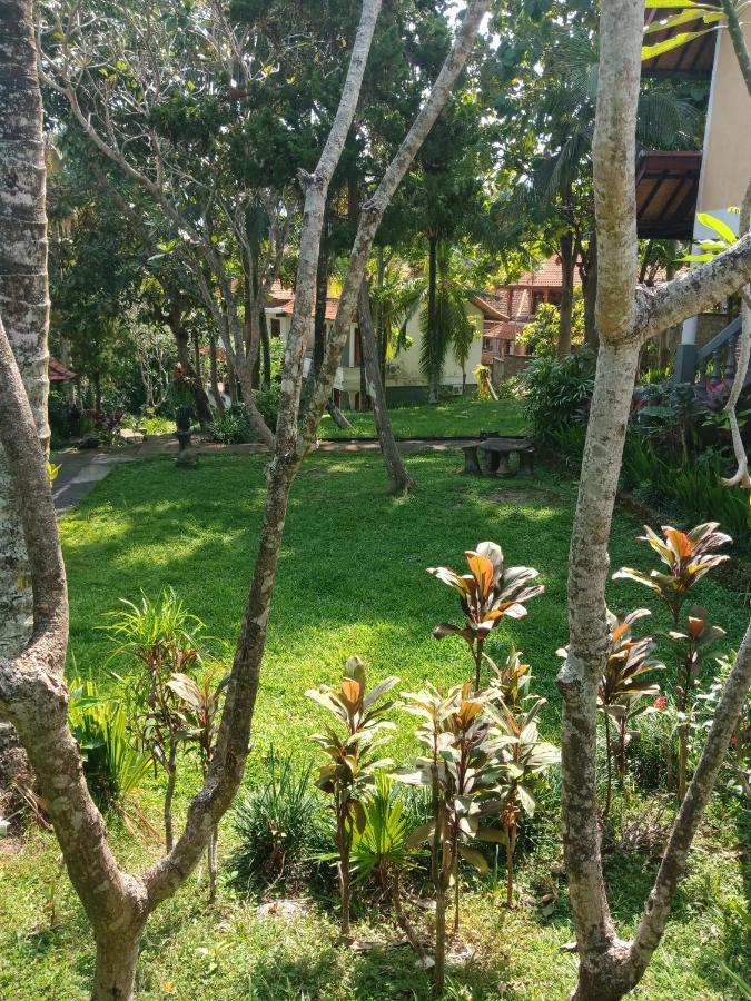 Argasoka 2* Ubud (Bali)