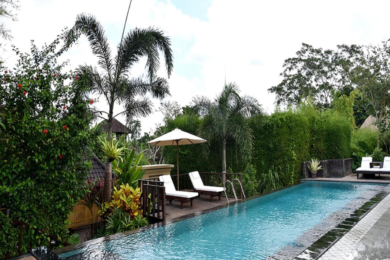 With Private Pool At Nirvana *