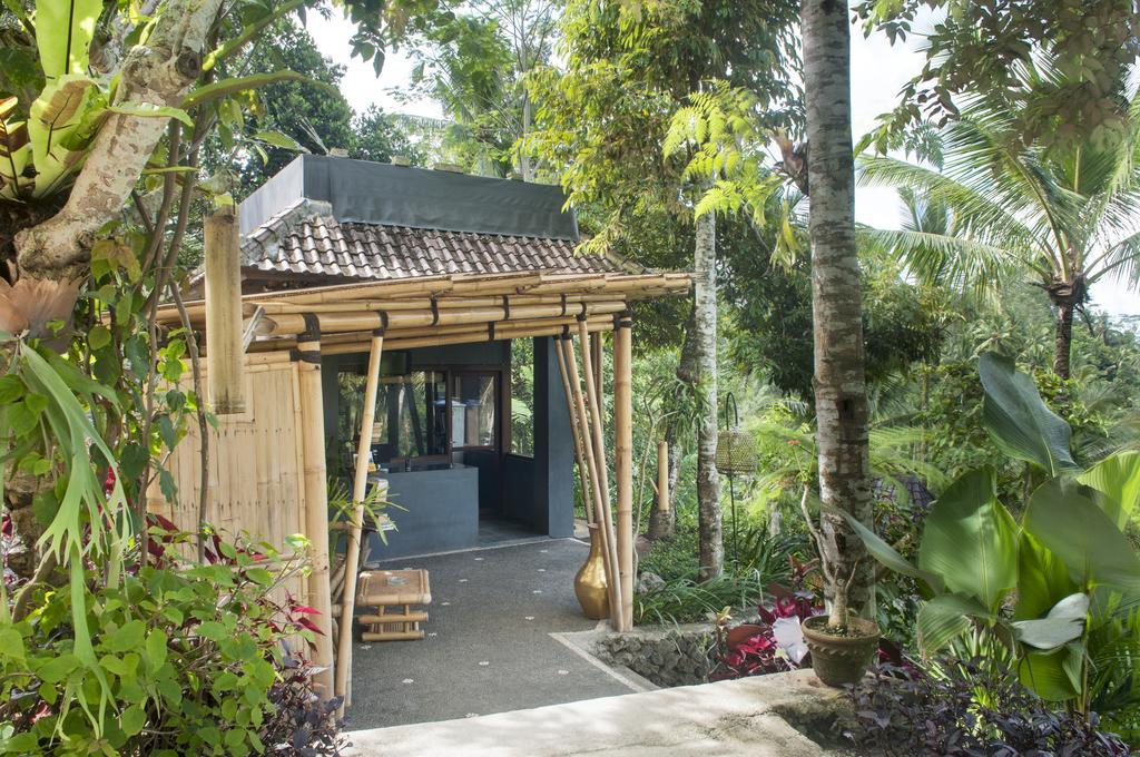 Jungle Holy Water Ubud (Bali)