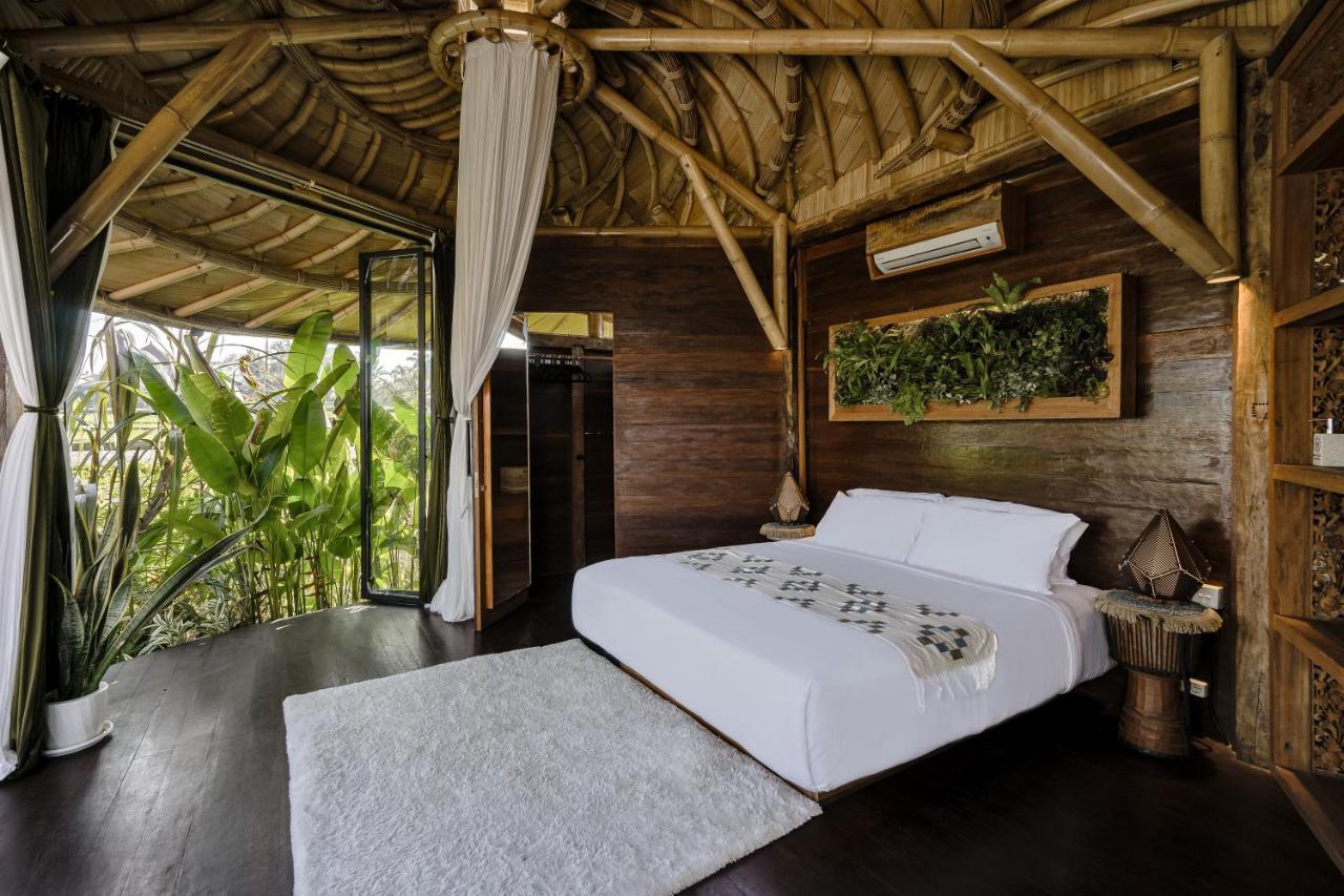Earthship Eco Villa