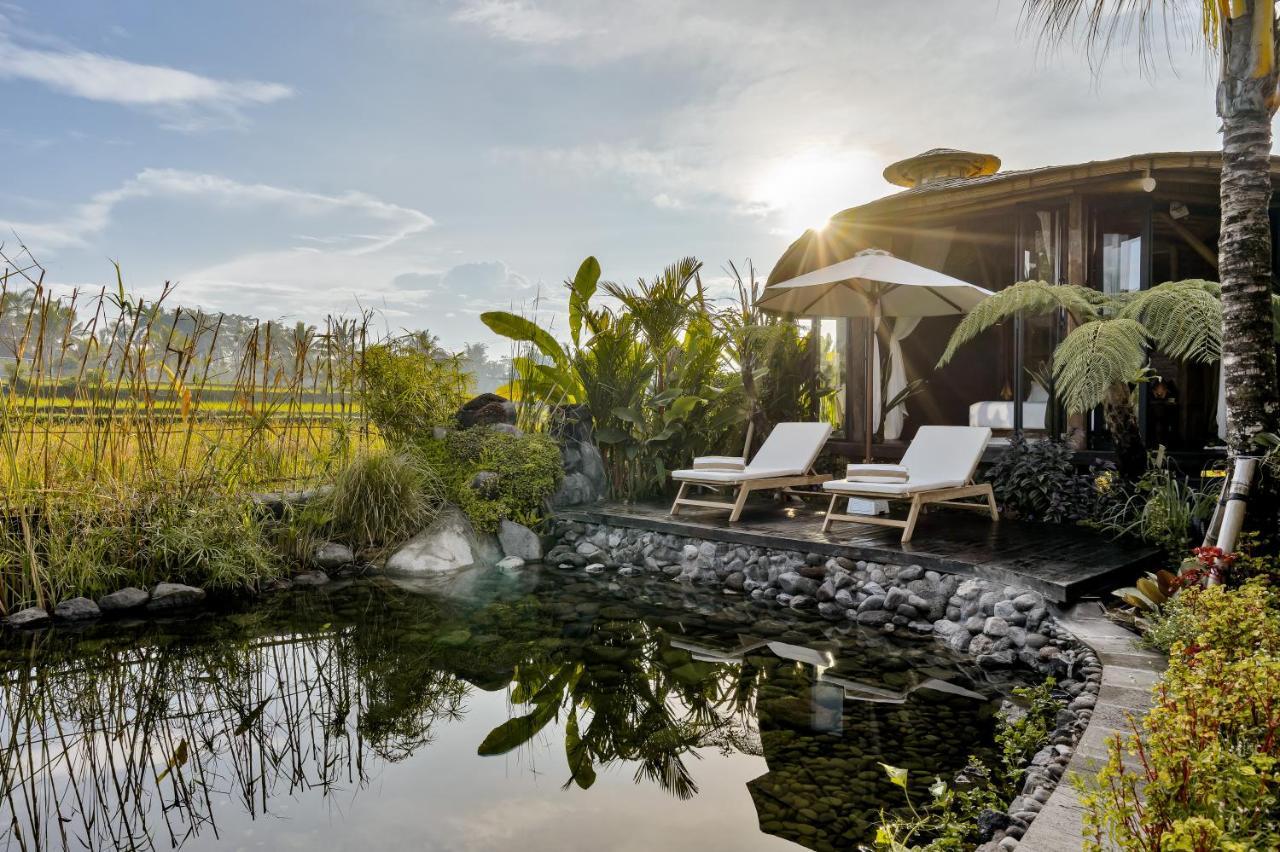 Villa Earthship Eco Ubud