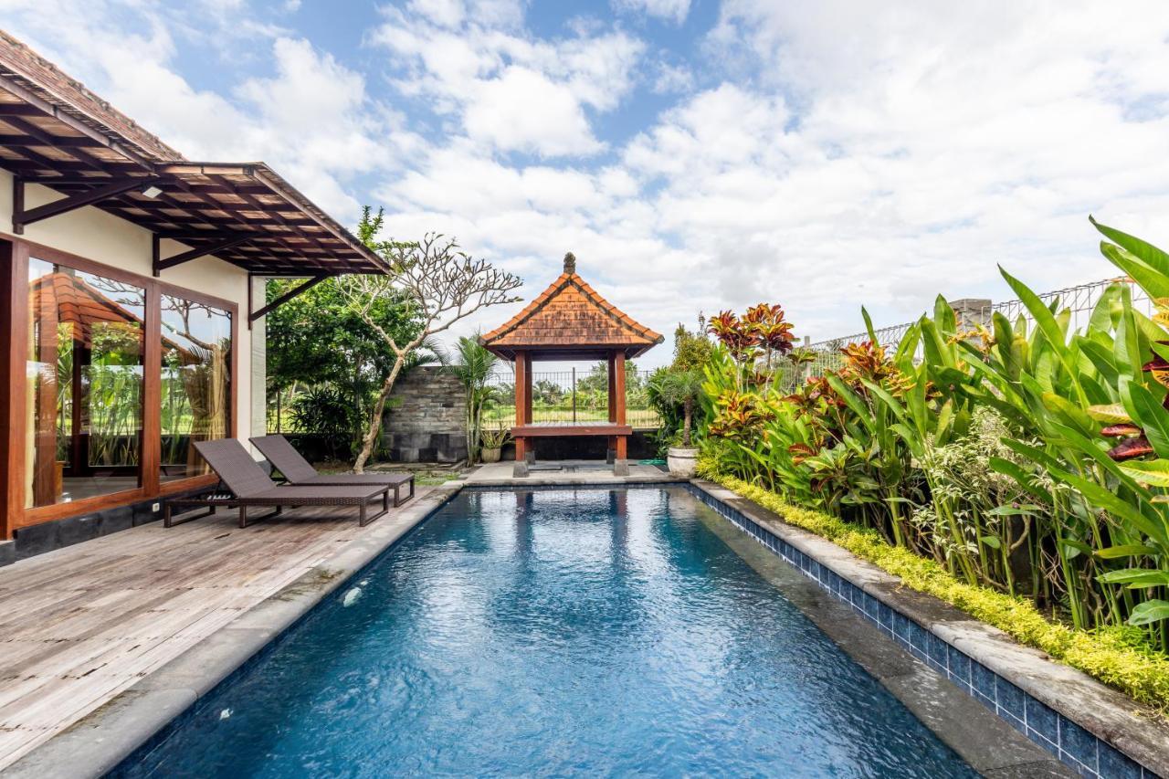 Private Pool - Saia Ubud (Bali)
