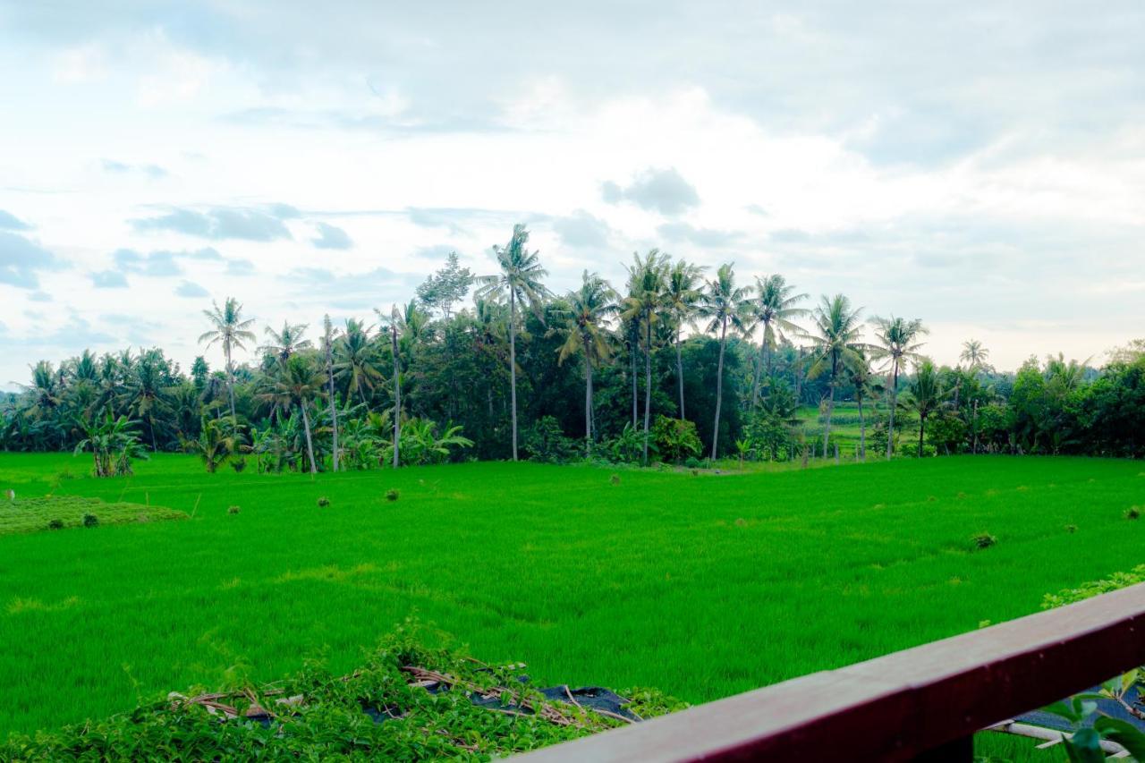 Nauna Tempat peranginan 3*