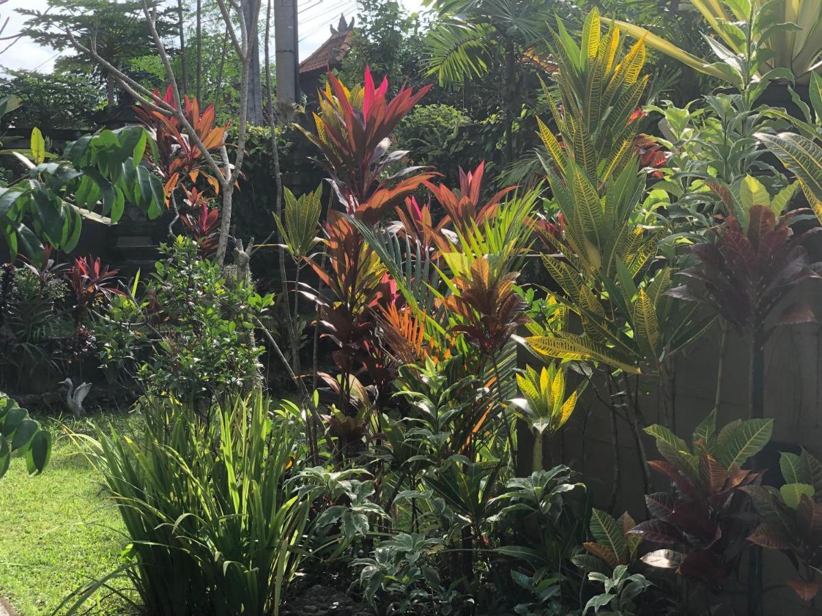 Gasthuis Badri Ubud