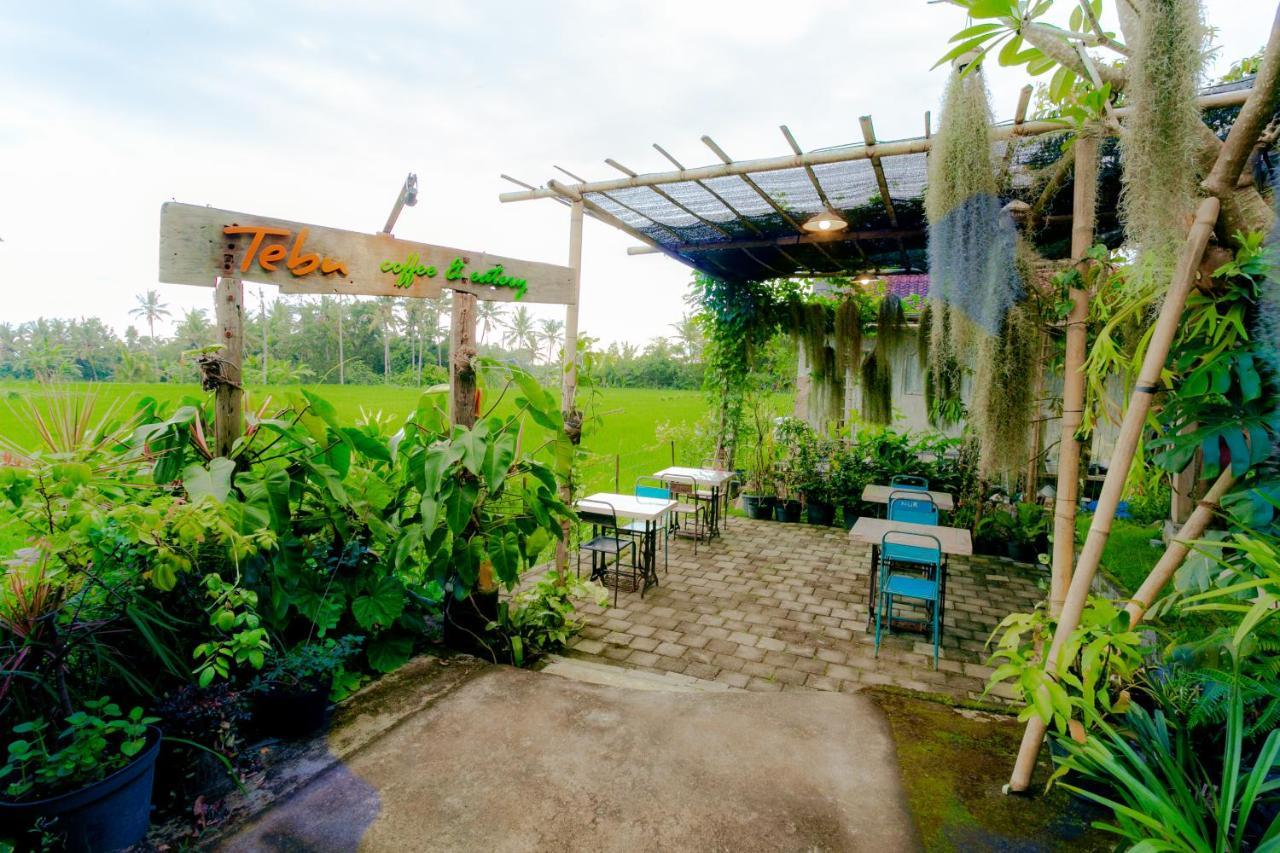 Tempat peranginan Nauna 3*