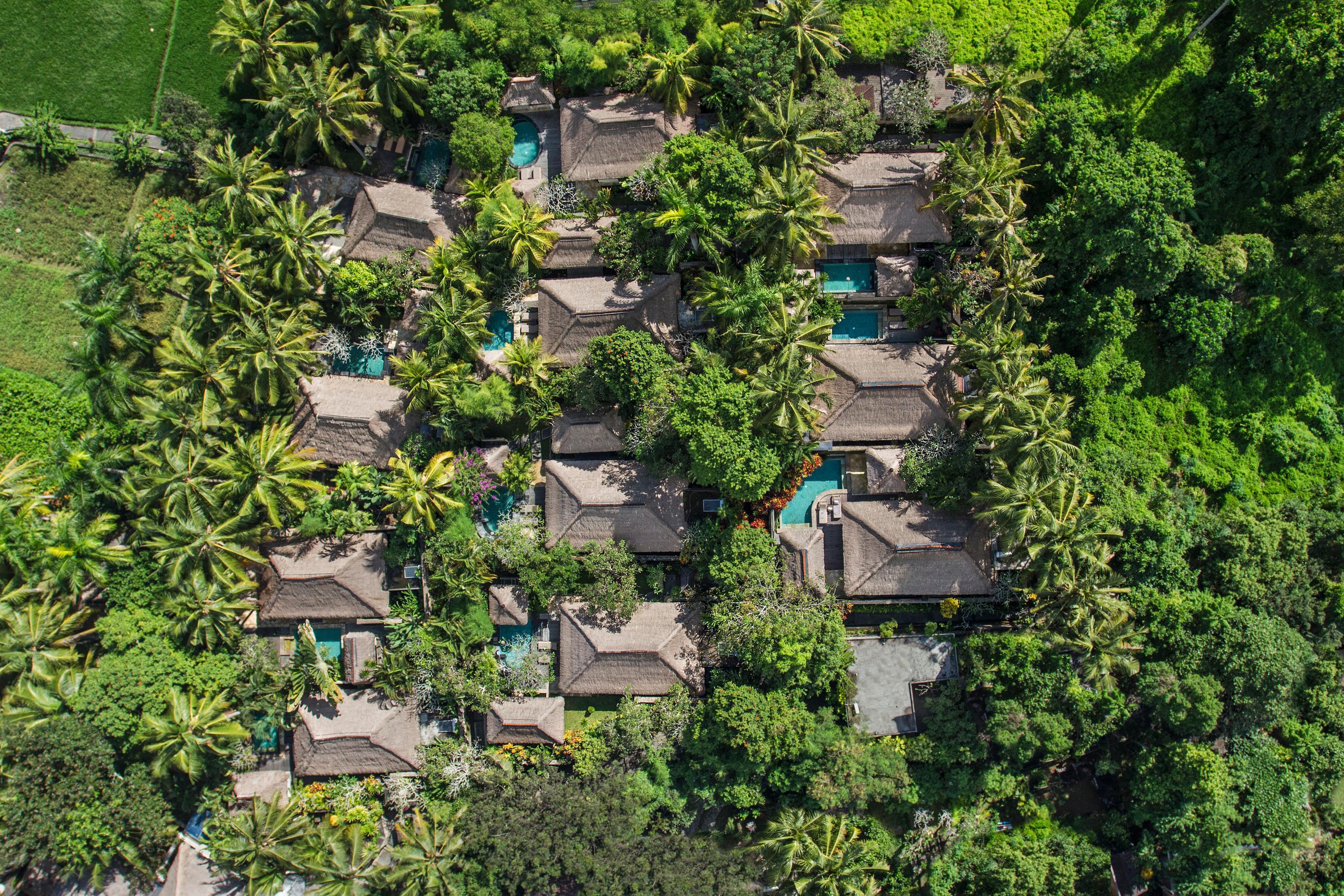 The Village & Ubud
