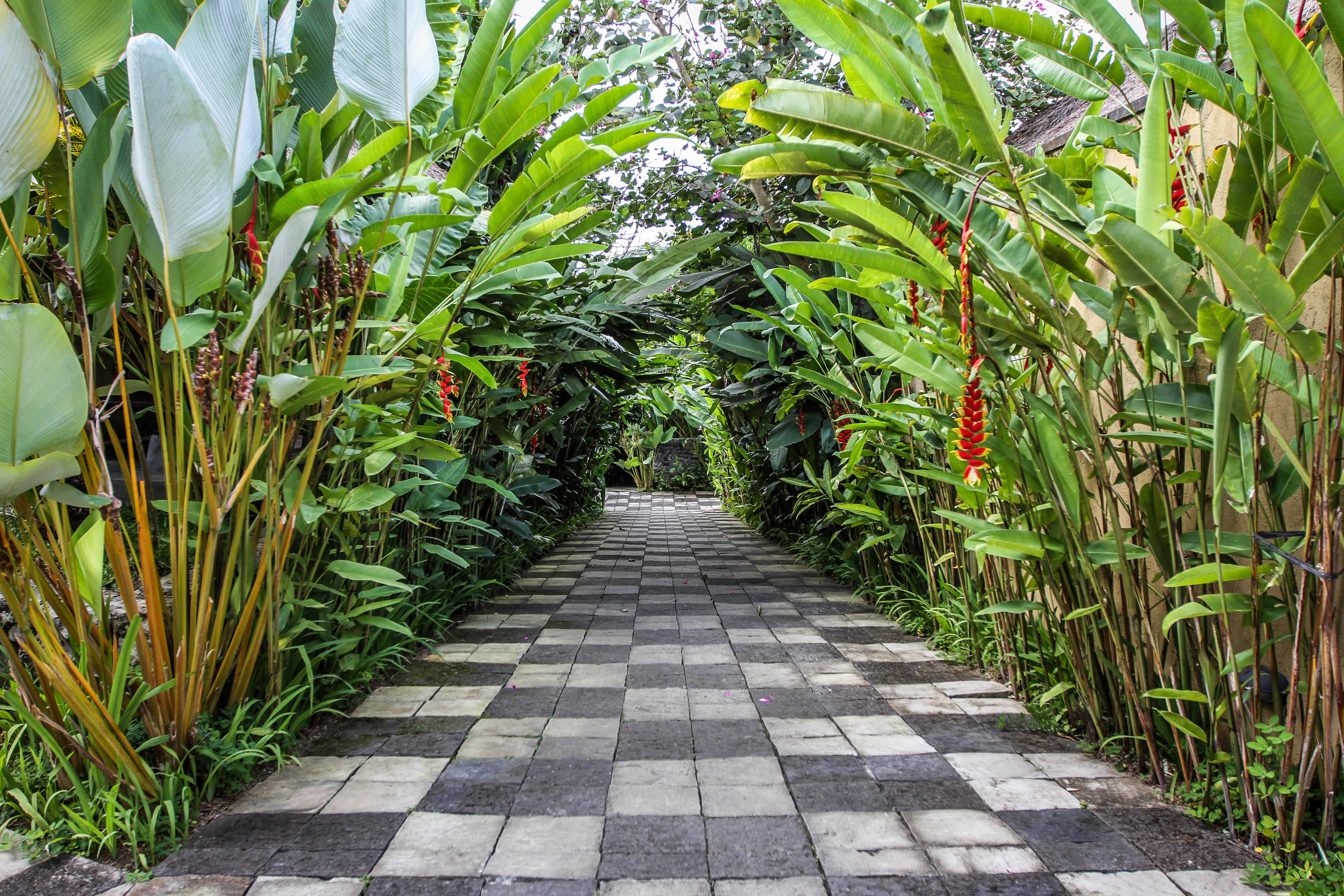 Resort Green Ubud
