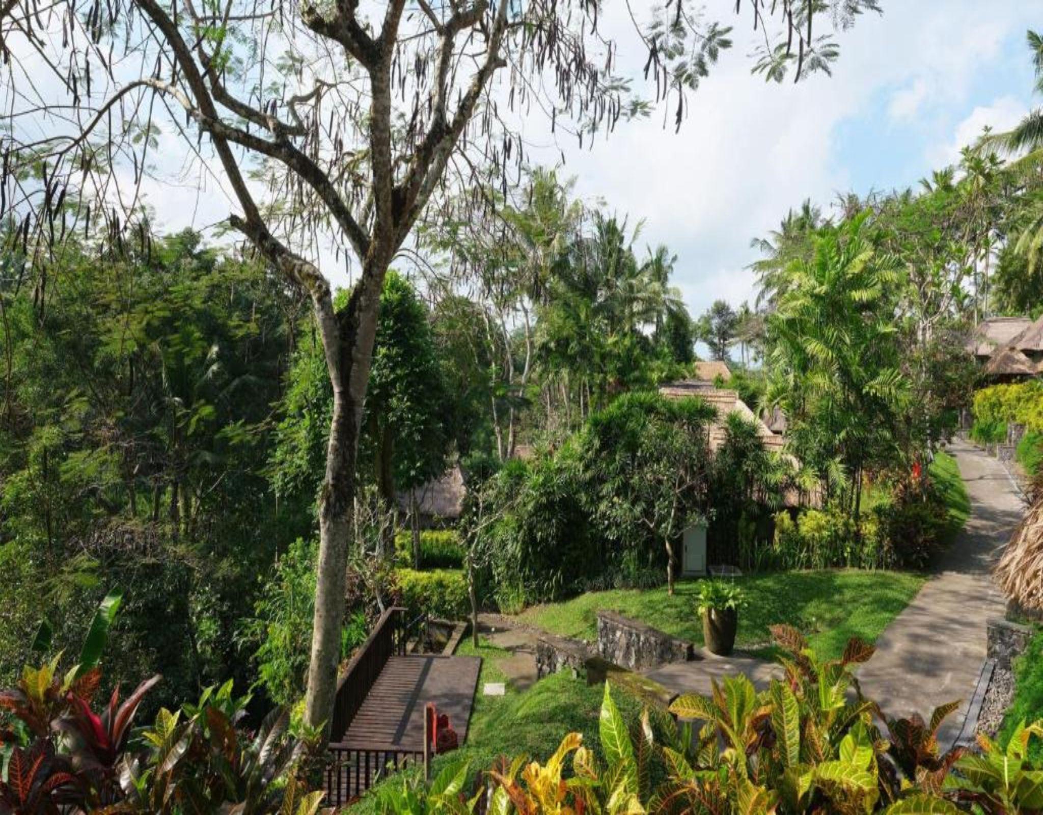Maya & Spa 5* Ubud (Bali)