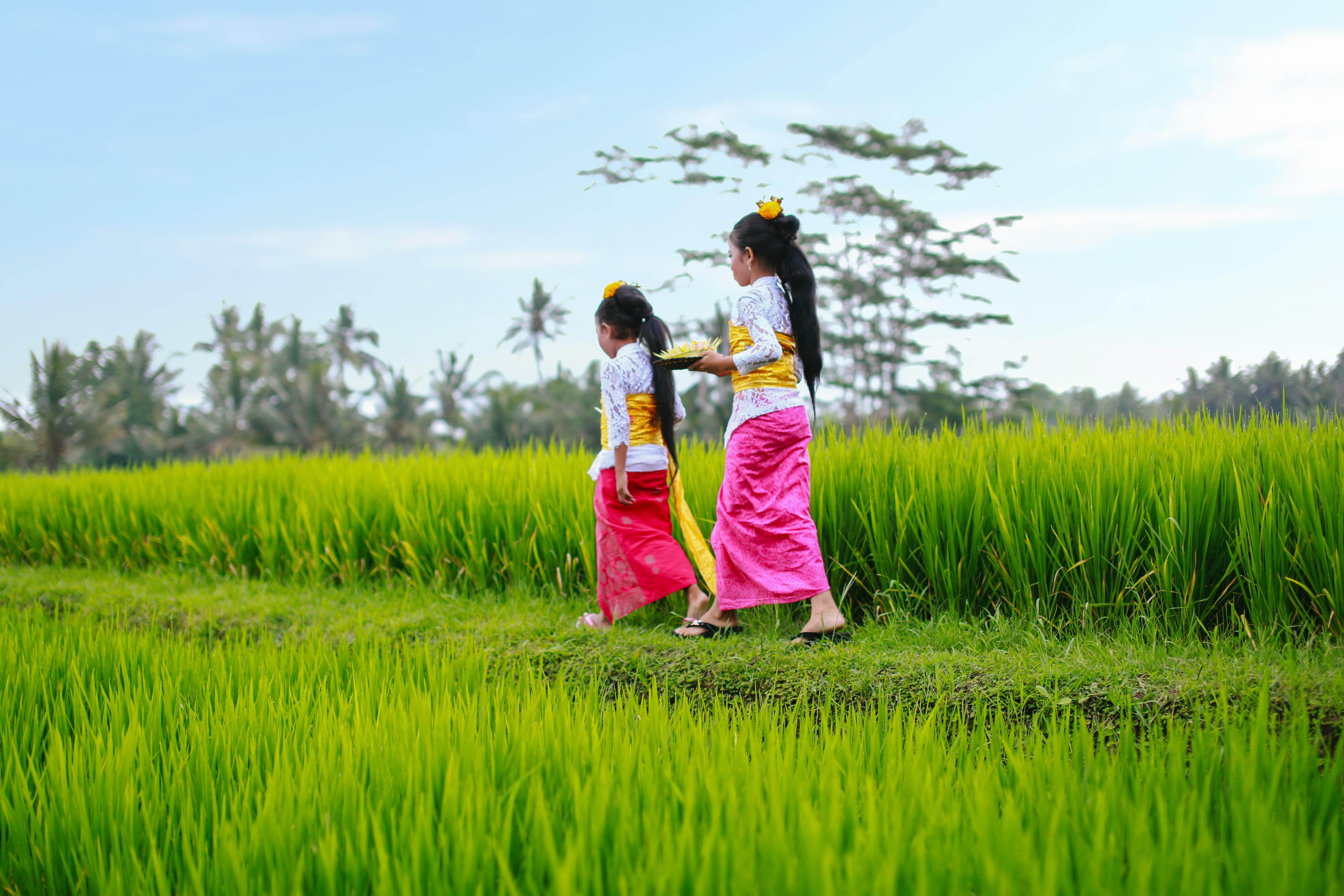 Jannata And Tempat peranginan 4*