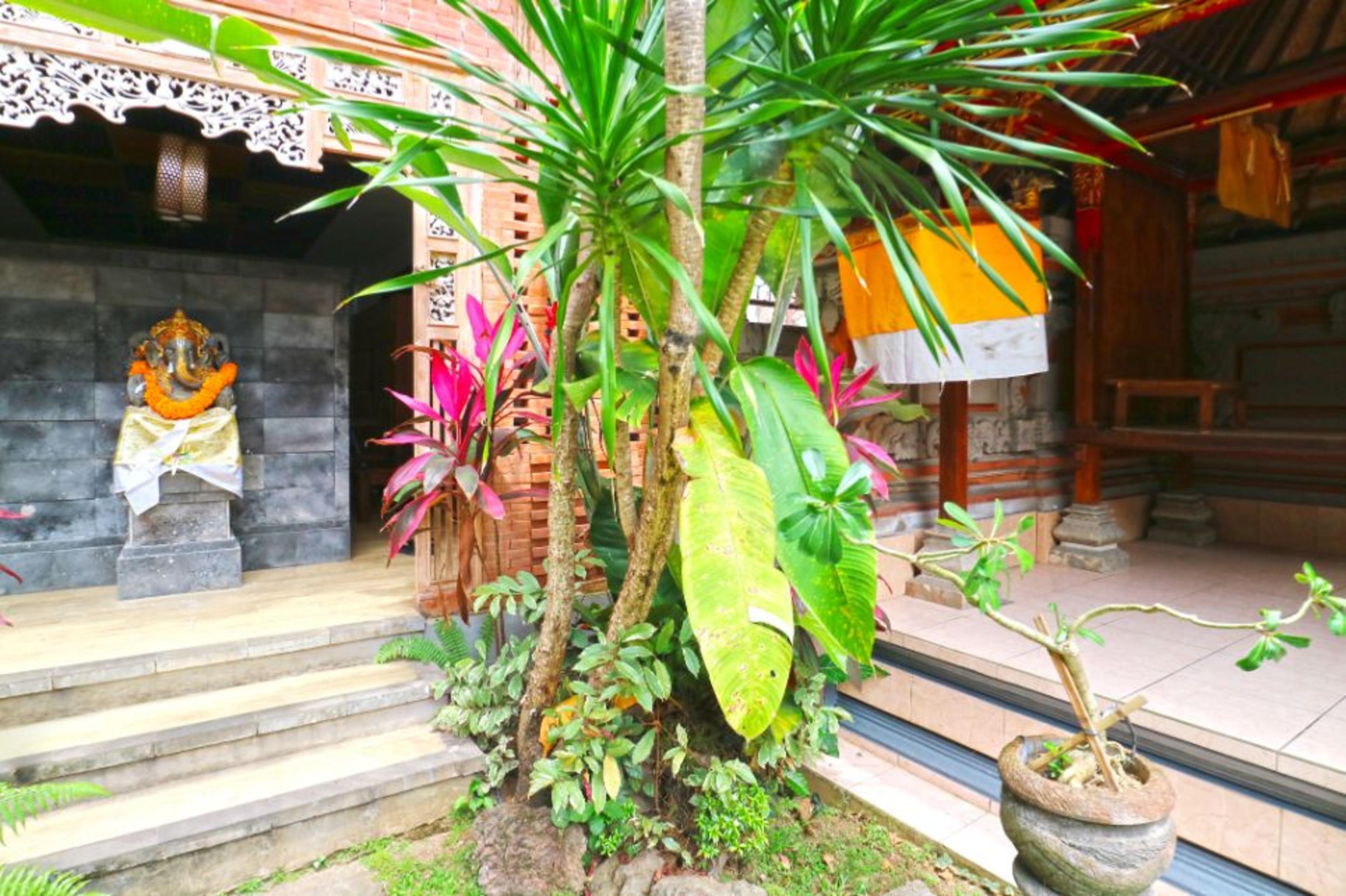 Hostel New