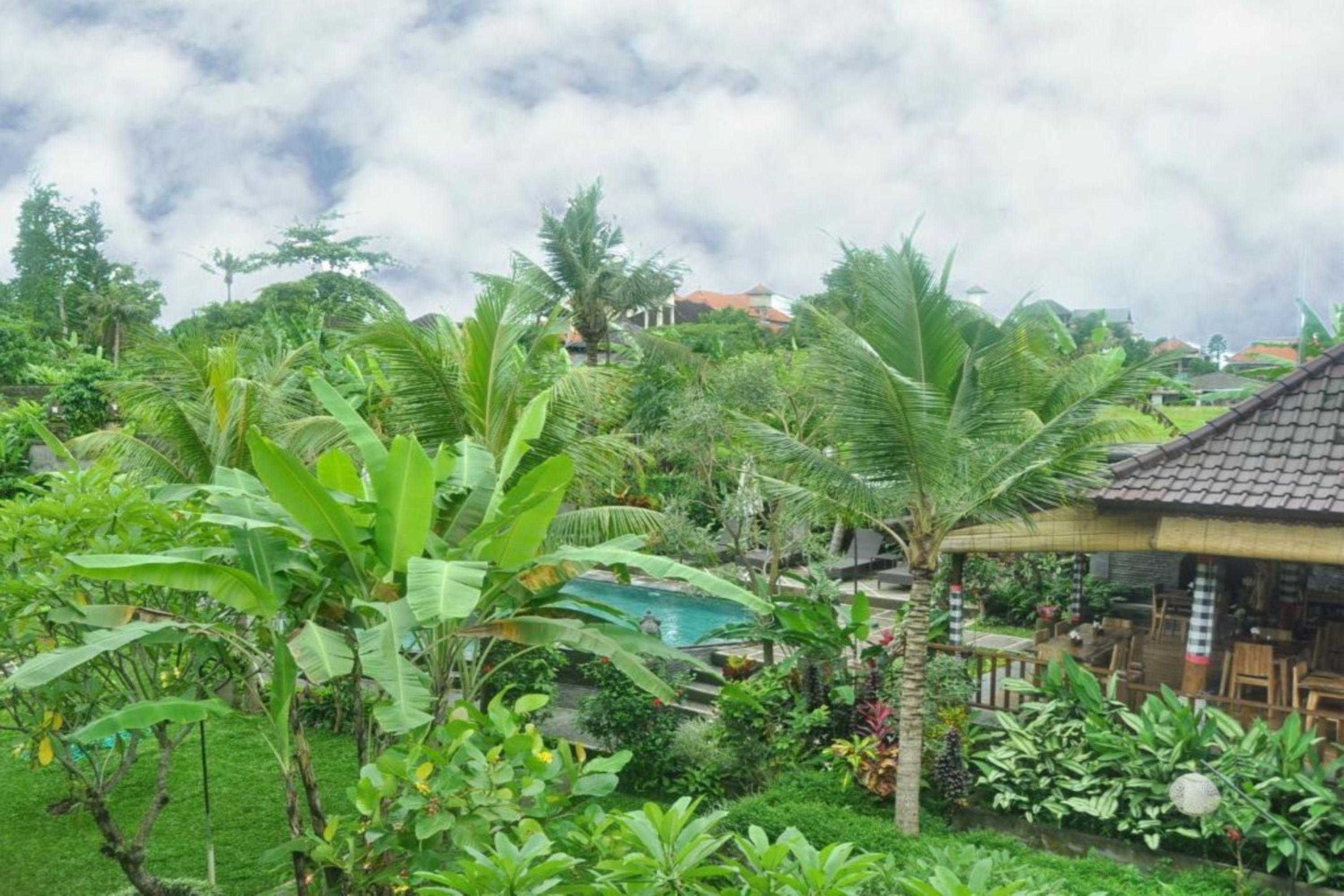 Bucu * Ubud (Bali)