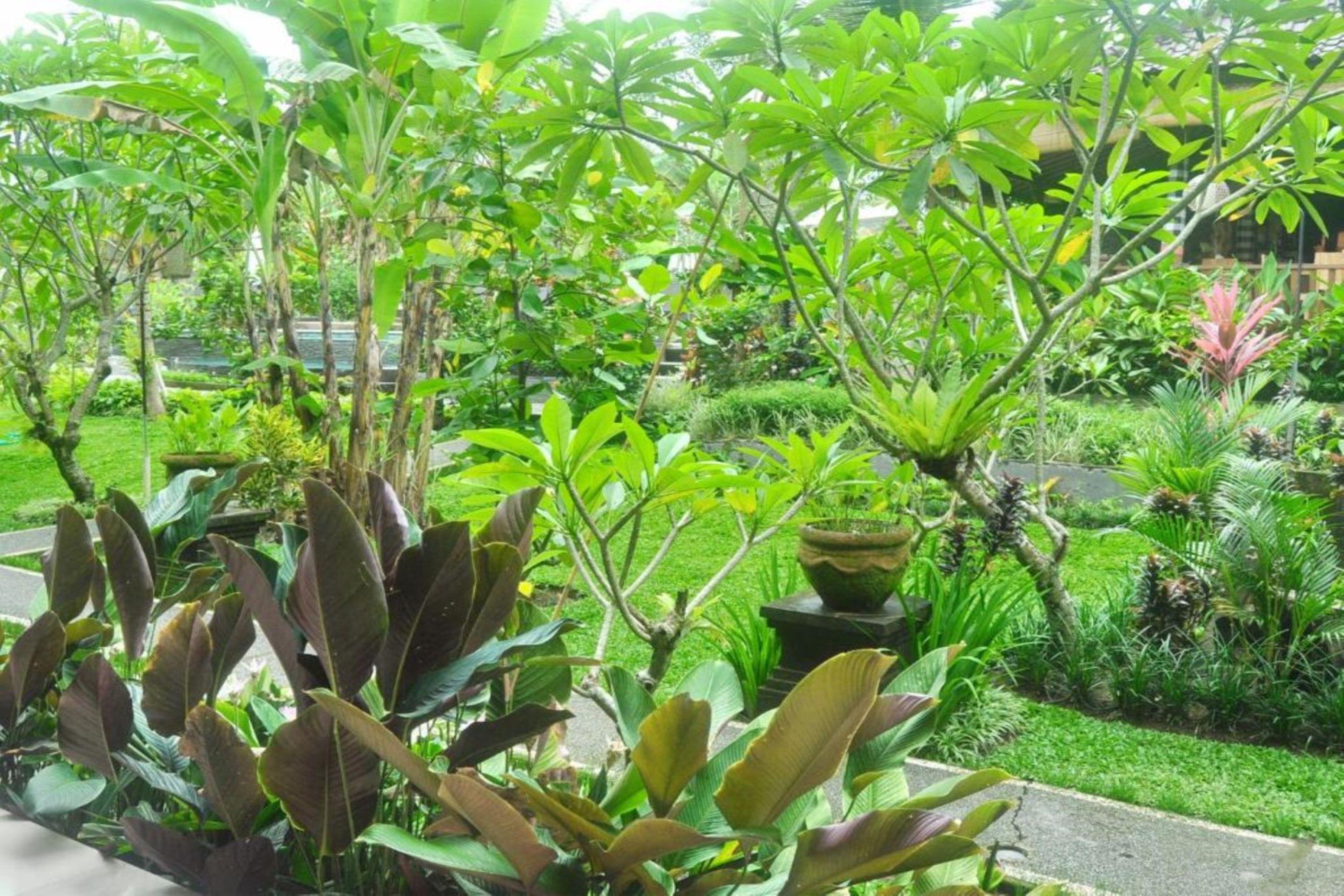 Bucu Homestay