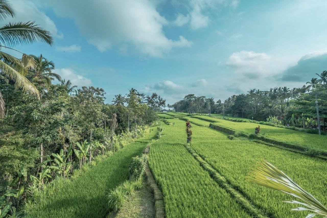 Guest house Sanggraloka Ubud (Bali)