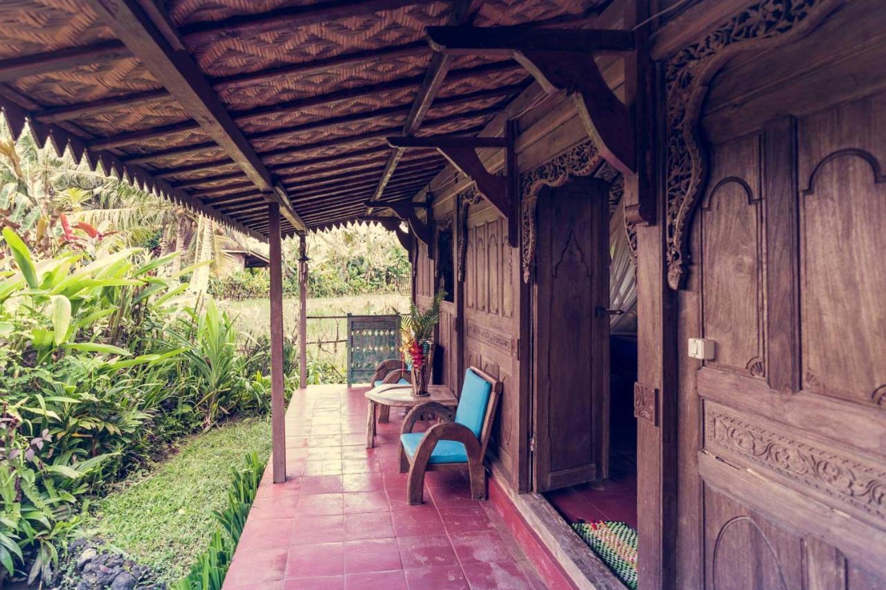 Dragonfly Village Holiday park Ubud (Bali)