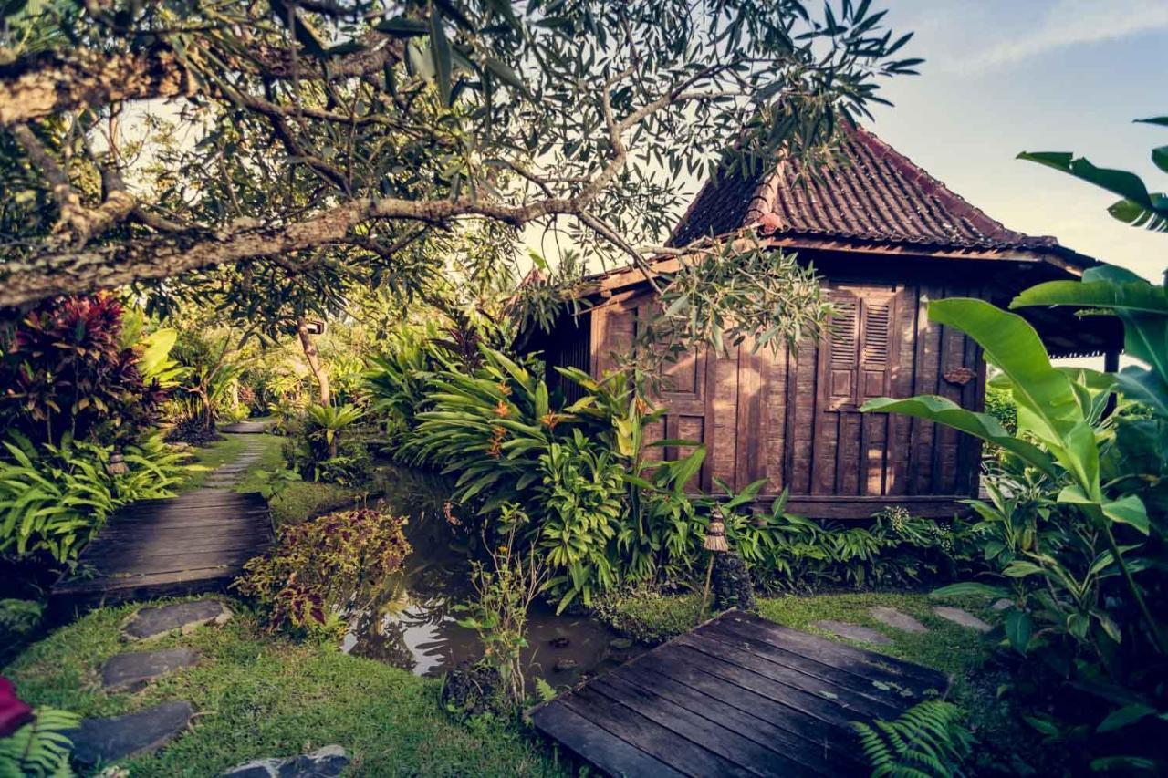Dragonfly Village 3* Ubud (Bali)