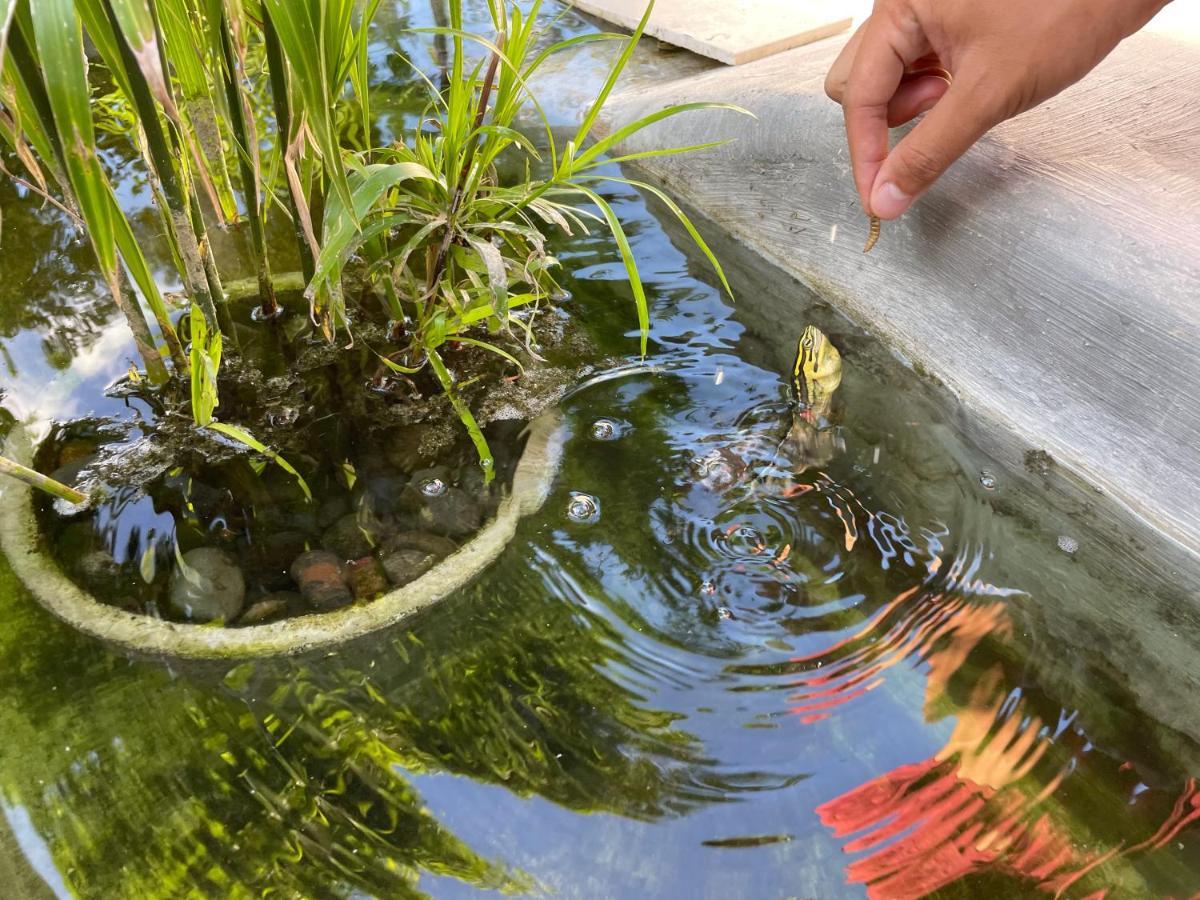 The Valerian Hotel Ubud (Bali)