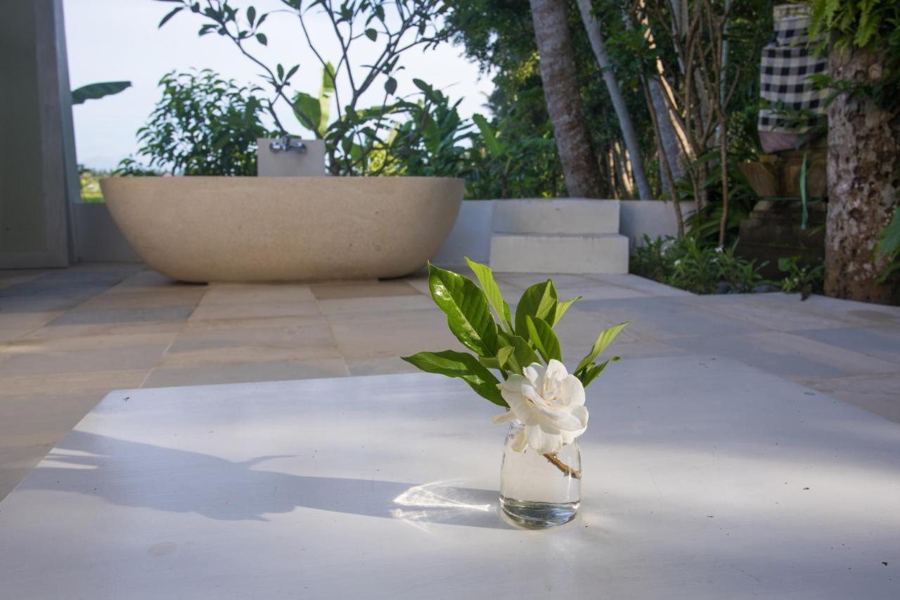 Villa Luxe Design Ubud (Bali)