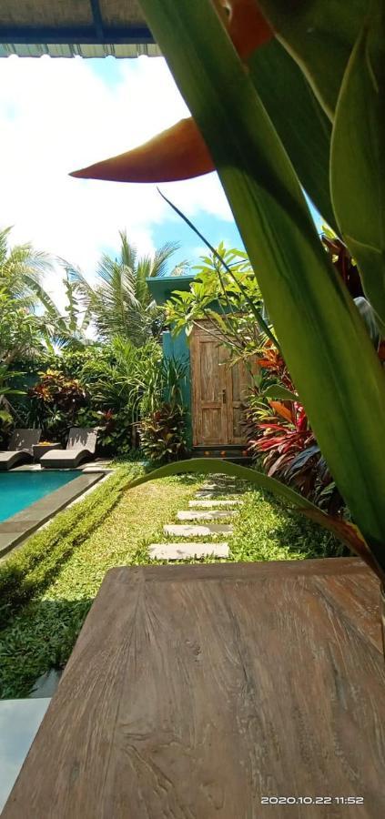 Rona1 Villa