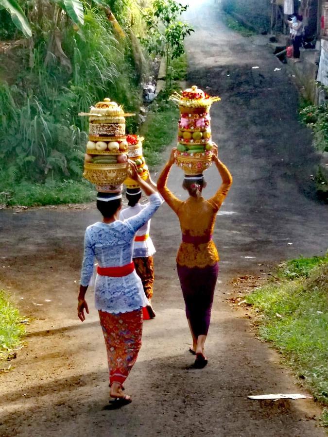 Frühstückspension Taman Eden Ubud