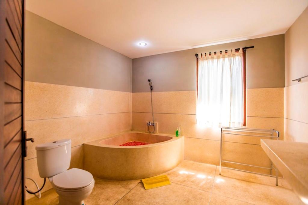 Hotel Mandi & 4*