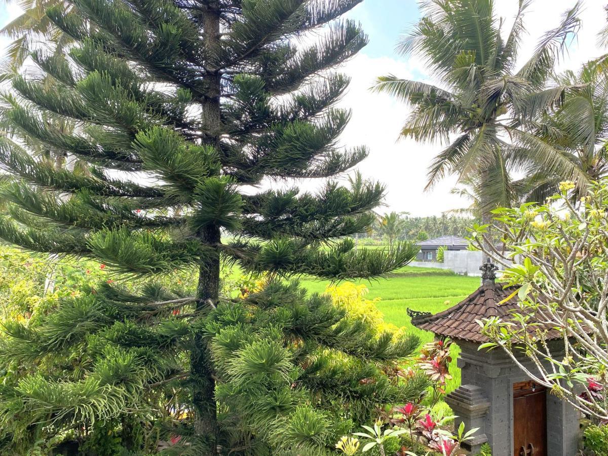 Agung Khalia * Ubud (Bali)