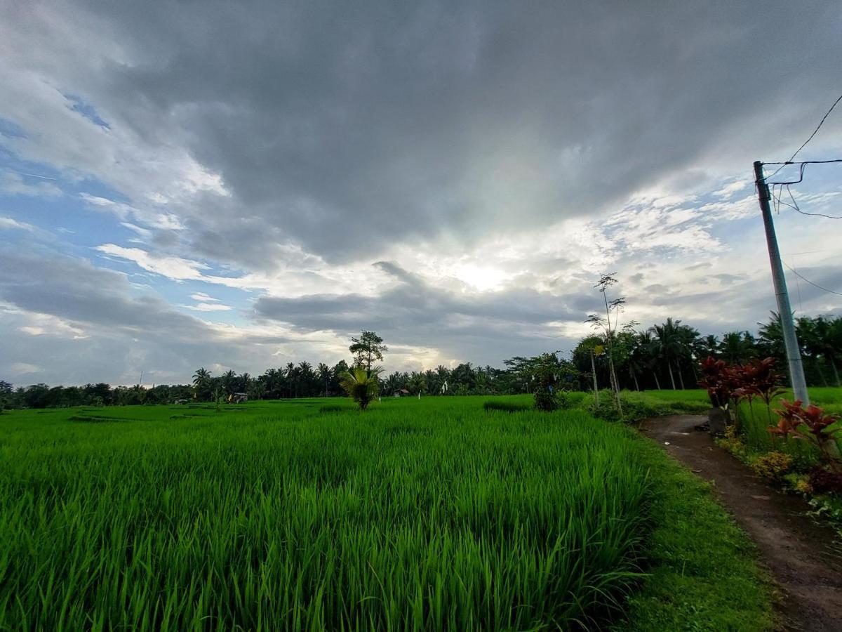 Villa Shivananda Antique By Eps Ubud
