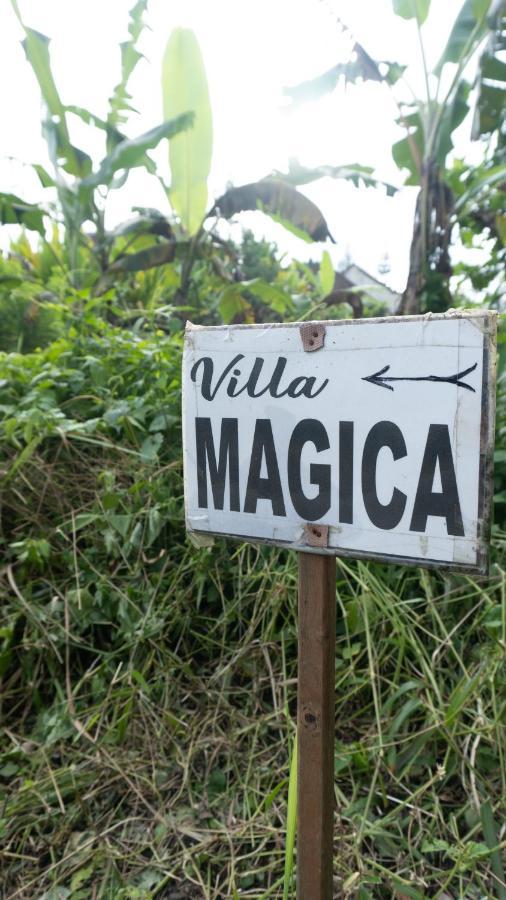 Magica