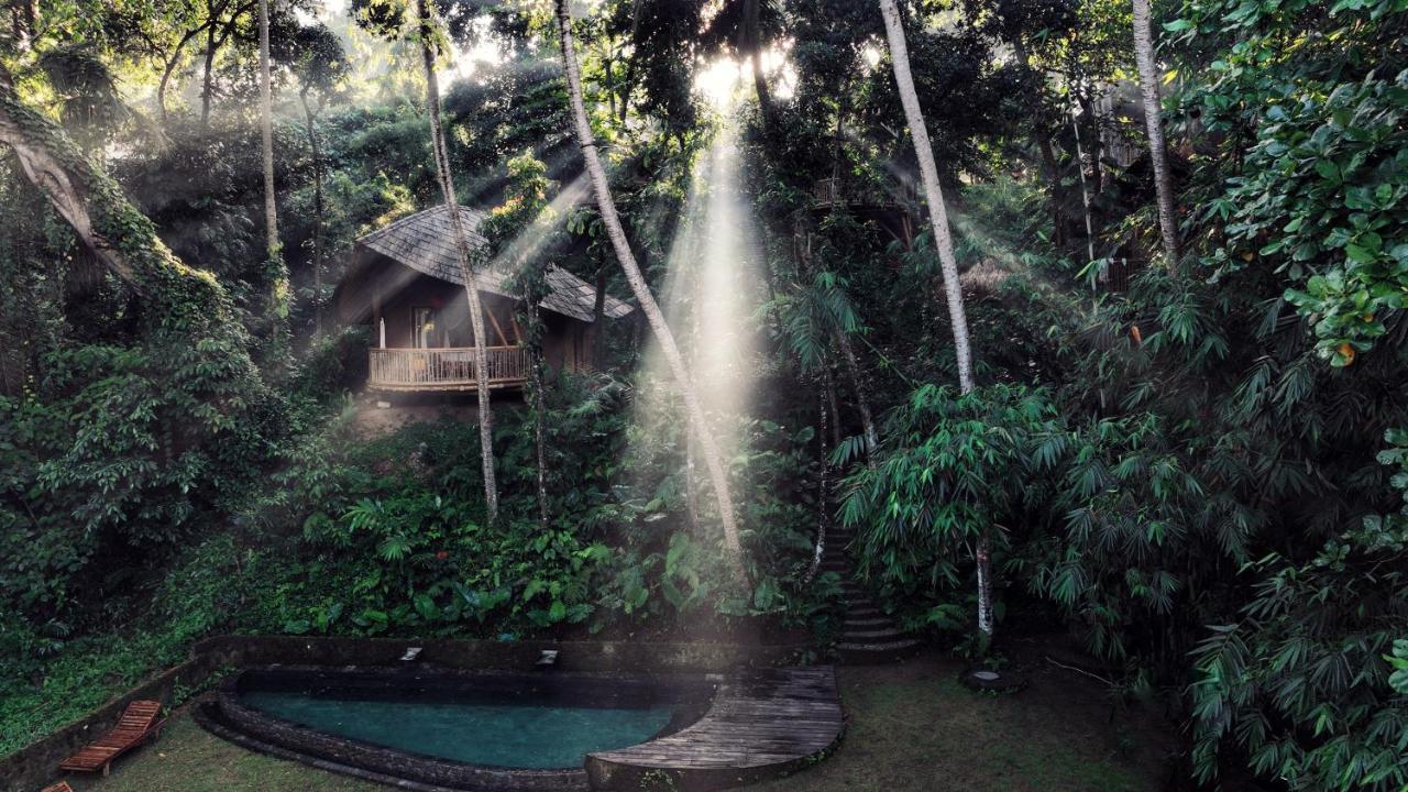 Bamboo Turtles Lodge Ubud (Bali)