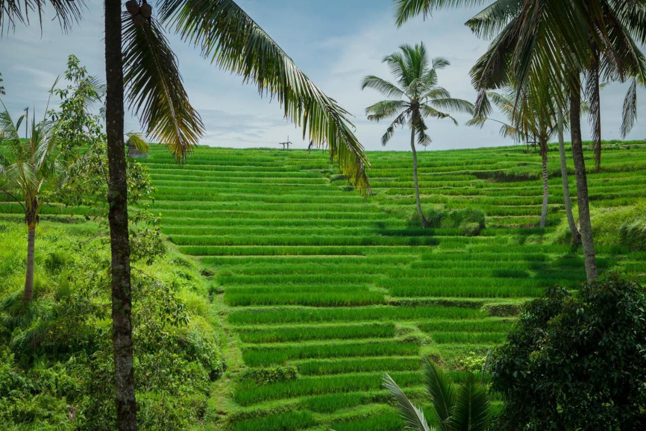 Be Bali Villa *