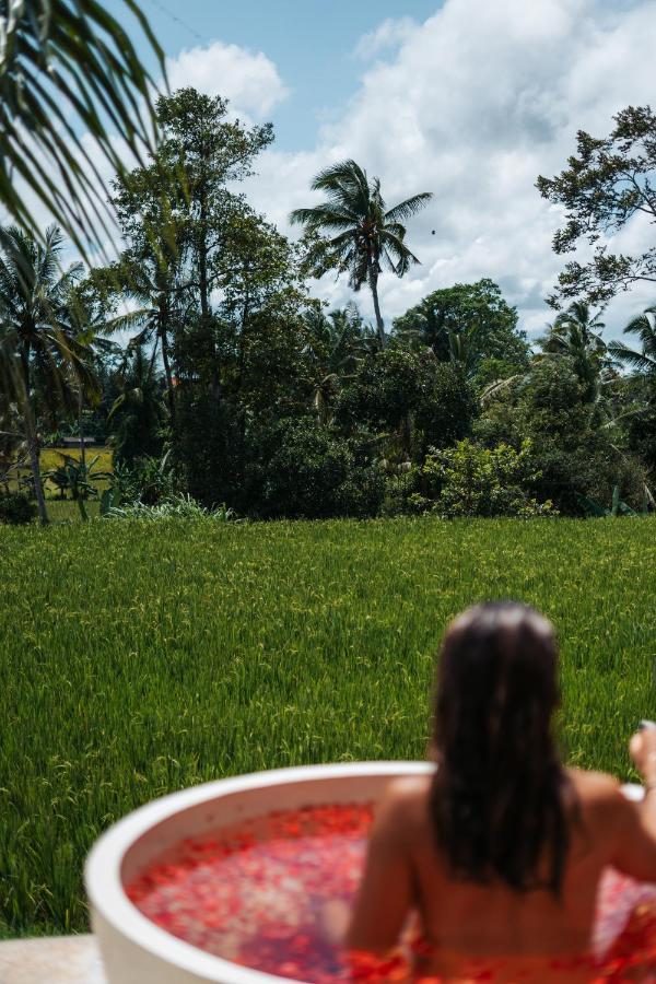 Woywoy Escape Samu (adults Only) Lodge