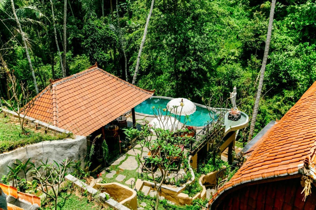 Inn Jungle Lotus