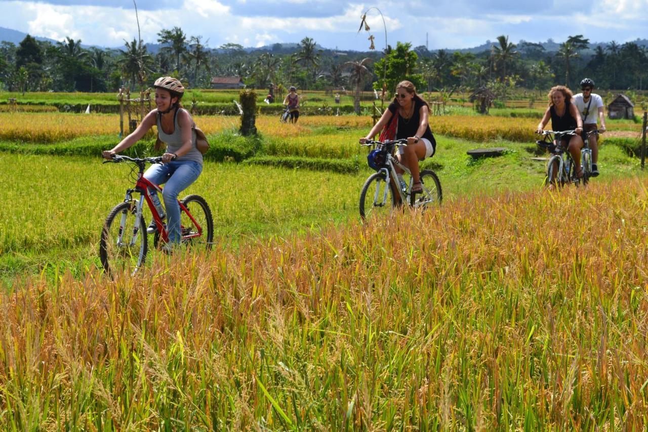 Bali Culture 3* Ubud (Bali)
