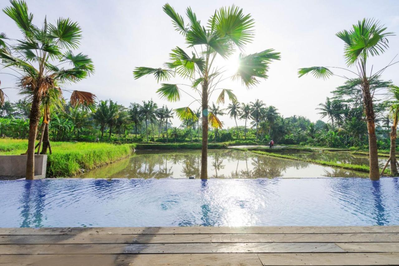 Nayaka Living