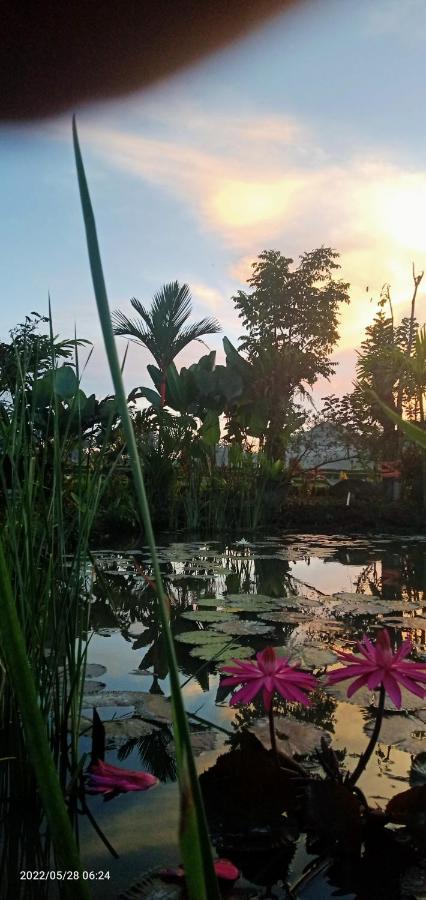 Lodge Leke Leke House Tegallalang Ubud (Bali)