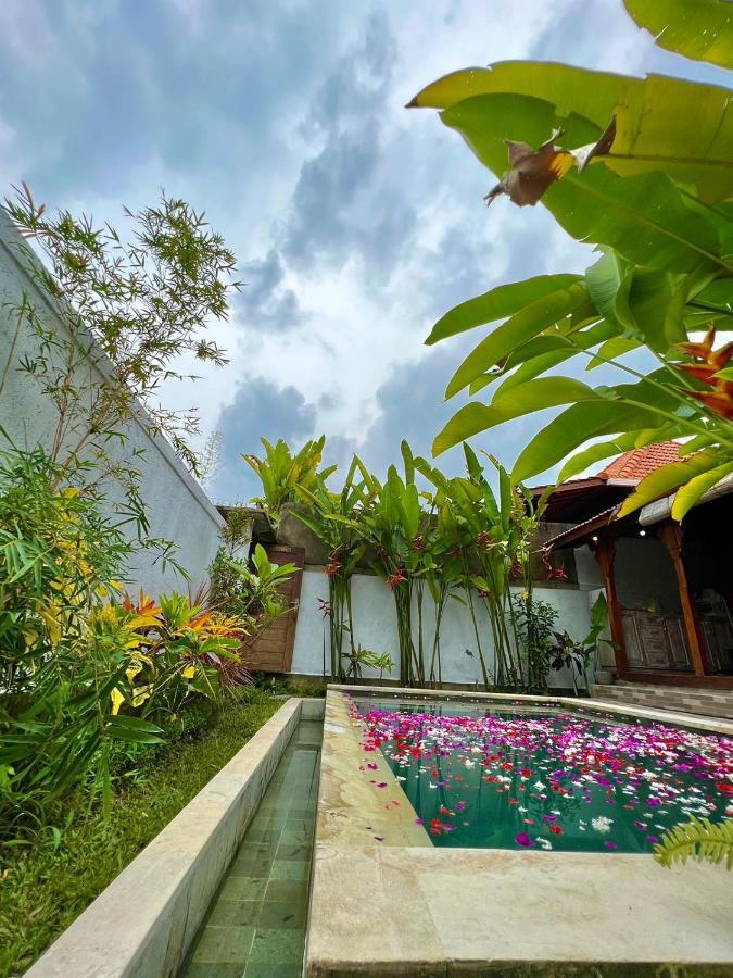 Loka-lita-askara * Ubud